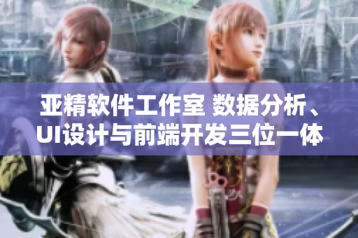 亞精軟件工作室 數(shù)據(jù)分析、UI設(shè)計(jì)與前端開發(fā)三位一體