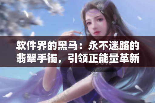 軟件界的黑馬：永不迷路的翡翠手鐲，引領(lǐng)正能量革新之路