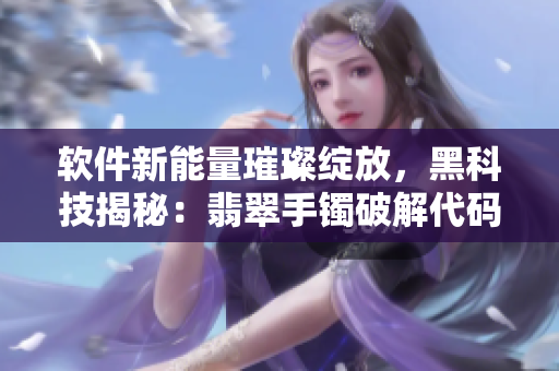 軟件新能量璀璨綻放，黑科技揭秘：翡翠手鐲破解代碼續(xù)篇