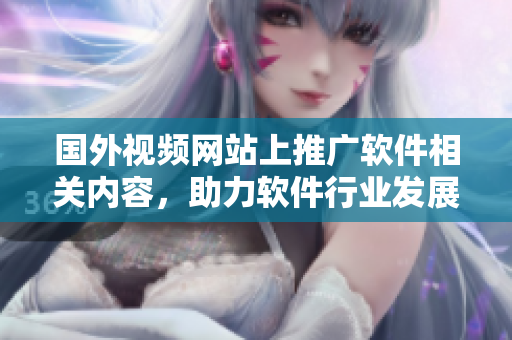 國外視頻網(wǎng)站上推廣軟件相關(guān)內(nèi)容，助力軟件行業(yè)發(fā)展