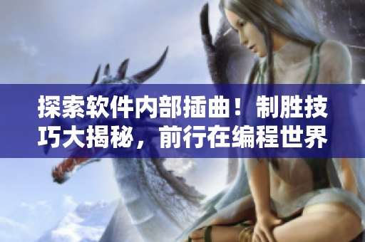 探索軟件內(nèi)部插曲！制勝技巧大揭秘，前行在編程世界的征程中