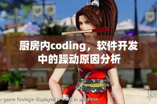 廚房?jī)?nèi)coding，軟件開發(fā)中的躁動(dòng)原因分析