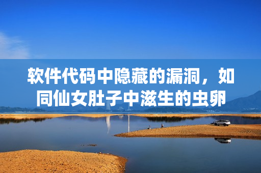 軟件代碼中隱藏的漏洞，如同仙女肚子中滋生的蟲卵