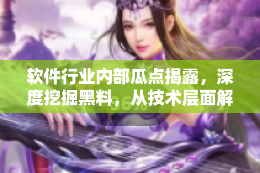 軟件行業(yè)內(nèi)部瓜點(diǎn)揭露，深度挖掘黑料，從技術(shù)層面解析，探索萬里長征