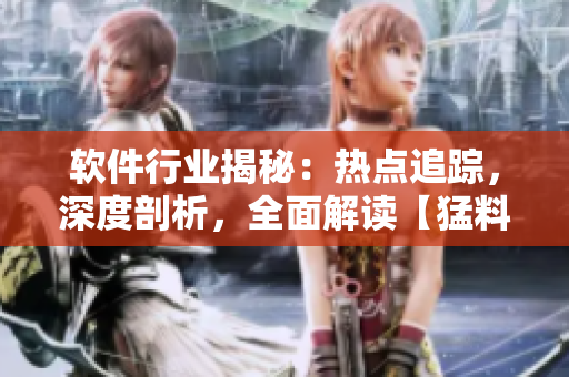 軟件行業(yè)揭秘：熱點追蹤，深度剖析，全面解讀【猛料】