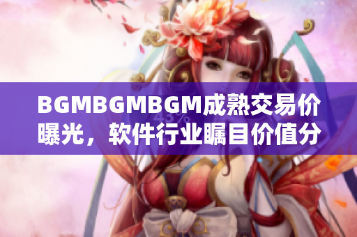 BGMBGMBGM成熟交易價(jià)曝光，軟件行業(yè)矚目?jī)r(jià)值分析