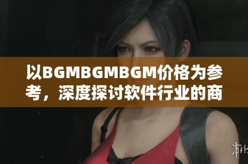以BGMBGMBGM價(jià)格為參考，深度探討軟件行業(yè)的商業(yè)模式與利潤(rùn)分析