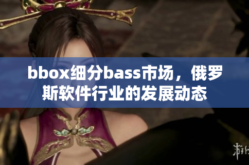 bbox細(xì)分bass市場，俄羅斯軟件行業(yè)的發(fā)展動態(tài)