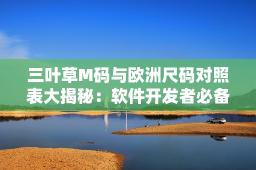 三葉草M碼與歐洲尺碼對(duì)照表大揭秘：軟件開發(fā)者必備！
