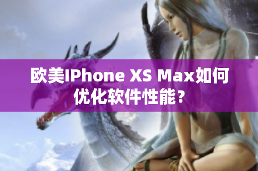 歐美IPhone XS Max如何優(yōu)化軟件性能？