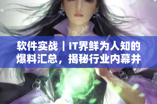 軟件實(shí)戰(zhàn)｜IT界鮮為人知的爆料匯總，揭秘行業(yè)內(nèi)幕并解鎖技術(shù)黑料