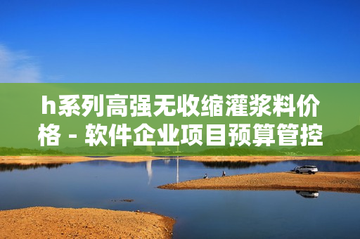 h系列高強(qiáng)無收縮灌漿料價(jià)格 - 軟件企業(yè)項(xiàng)目預(yù)算管控指南