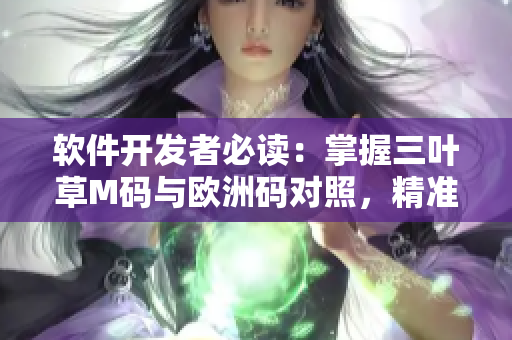 軟件開發(fā)者必讀：掌握三葉草M碼與歐洲碼對照，精準選擇開發(fā)工作服