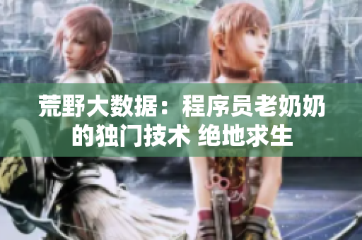 荒野大數(shù)據(jù)：程序員老奶奶的獨(dú)門(mén)技術(shù) 絕地求生
