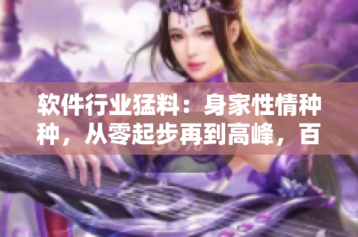 軟件行業(yè)猛料：身家性情種種，從零起步再到高峰，百聞不如一見(jiàn)