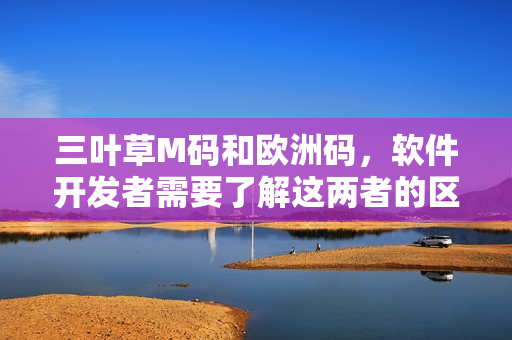 三葉草M碼和歐洲碼，軟件開發(fā)者需要了解這兩者的區(qū)別