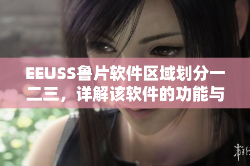 EEUSS魯片軟件區(qū)域劃分一二三，詳解該軟件的功能與特點(diǎn)