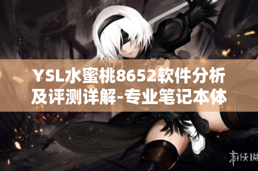 YSL水蜜桃8652軟件分析及評測詳解-專業(yè)筆記本體驗分享