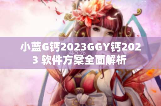小藍G鈣2023GGY鈣2023 軟件方案全面解析 