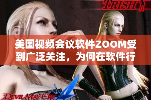 美國視頻會(huì)議軟件ZOOM受到廣泛關(guān)注，為何在軟件行業(yè)占據(jù)重要地位？