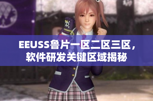 EEUSS魯片一區(qū)二區(qū)三區(qū)，軟件研發(fā)關(guān)鍵區(qū)域揭秘
