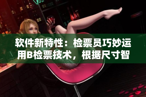 軟件新特性：檢票員巧妙運用B檢票技術，根據尺寸智能識別乘客上車身份
