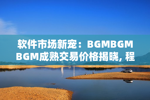 軟件市場新寵：BGMBGMBGM成熟交易價格揭曉, 程序員們快來瞧瞧!