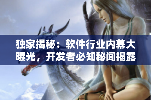 獨家揭秘：軟件行業(yè)內(nèi)幕大曝光，開發(fā)者必知秘聞揭露