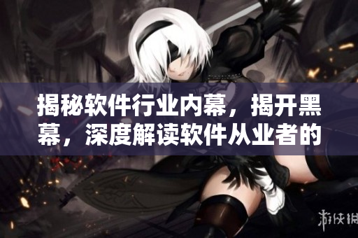 揭秘軟件行業(yè)內(nèi)幕，揭開黑幕，深度解讀軟件從業(yè)者的內(nèi)幕故事
