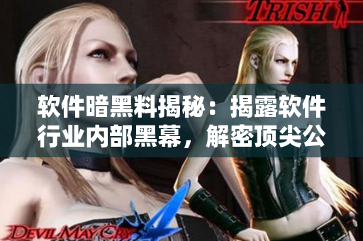 軟件暗黑料揭秘：揭露軟件行業(yè)內(nèi)部黑幕，解密頂尖公司內(nèi)幕萬里長征