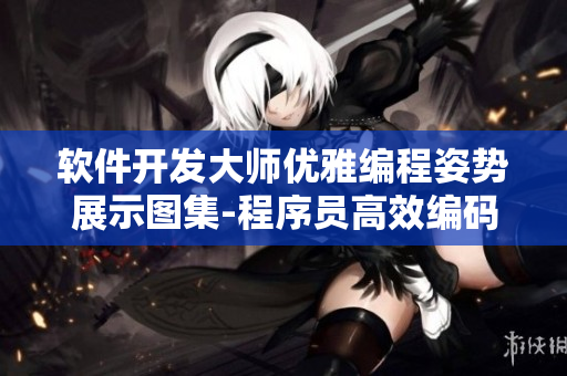 軟件開發(fā)大師優(yōu)雅編程姿勢展示圖集-程序員高效編碼姿勢詳解