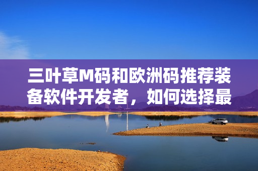 三葉草M碼和歐洲碼推薦裝備軟件開發(fā)者，如何選擇最適合的編碼規(guī)范？