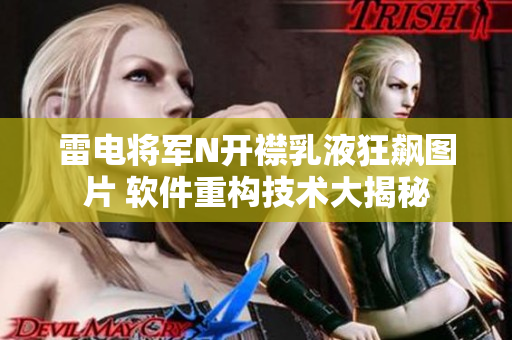 雷電將軍N開(kāi)襟乳液狂飆圖片 軟件重構(gòu)技術(shù)大揭秘