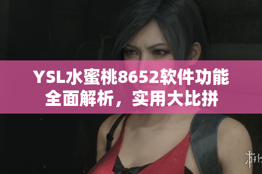 YSL水蜜桃8652軟件功能全面解析，實用大比拼