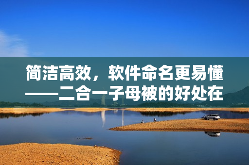 簡潔高效，軟件命名更易懂——二合一子母被的好處在軟件領(lǐng)域的應(yīng)用