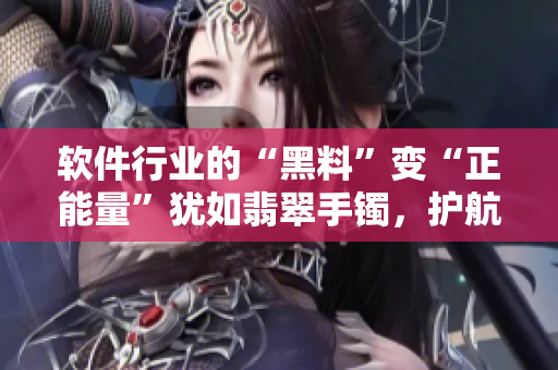 軟件行業(yè)的“黑料”變“正能量”猶如翡翠手鐲，護(hù)航未來！