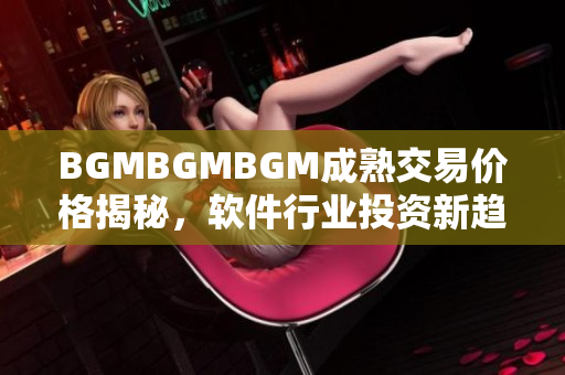BGMBGMBGM成熟交易價(jià)格揭秘，軟件行業(yè)投資新趨勢(shì)揭示