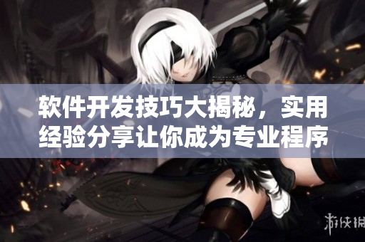 軟件開發(fā)技巧大揭秘，實(shí)用經(jīng)驗(yàn)分享讓你成為專業(yè)程序員