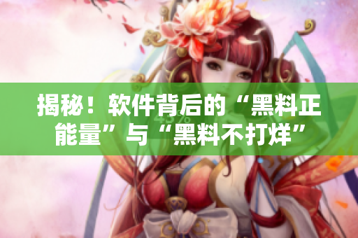 揭秘！軟件背后的“黑料正能量”與“黑料不打烊”