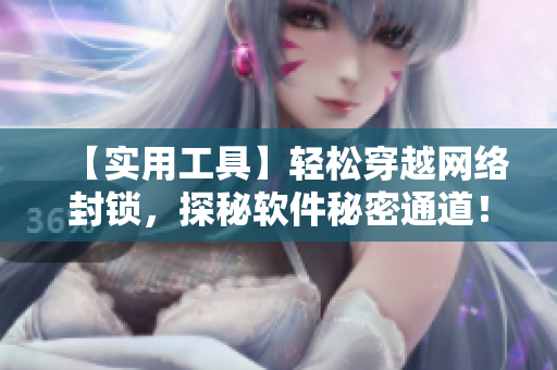【實(shí)用工具】輕松穿越網(wǎng)絡(luò)封鎖，探秘軟件秘密通道！