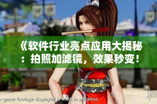 《軟件行業(yè)亮點(diǎn)應(yīng)用大揭秘：拍照加濾鏡，效果秒變！》