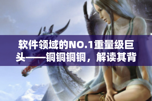 軟件領(lǐng)域的NO.1重量級巨頭——銅銅銅銅，解讀其背后的成功密碼
