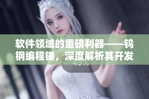 軟件領(lǐng)域的重磅利器——鎢鋼編程錘，深度解析其開發(fā)及使用技巧