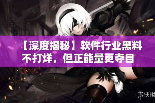 【深度揭秘】軟件行業(yè)黑料不打烊，但正能量更奪目