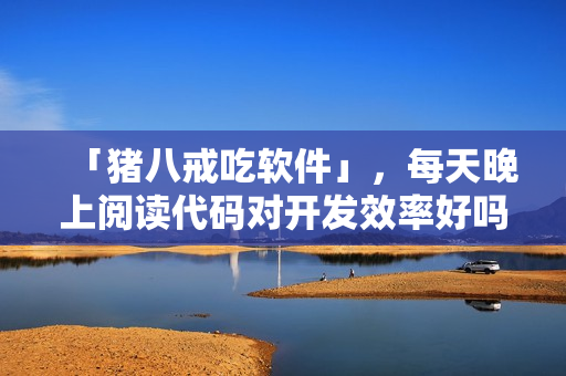 「豬八戒吃軟件」，每天晚上閱讀代碼對開發(fā)效率好嗎？