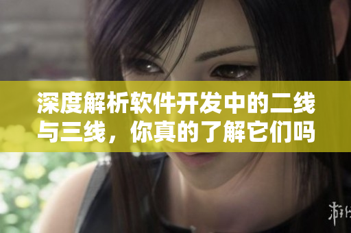 深度解析軟件開(kāi)發(fā)中的二線與三線，你真的了解它們嗎？