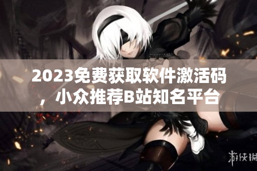2023免費(fèi)獲取軟件激活碼，小眾推薦B站知名平臺(tái)