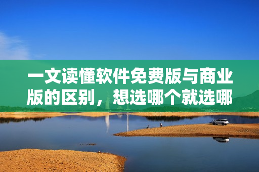 一文讀懂軟件免費版與商業(yè)版的區(qū)別，想選哪個就選哪個！