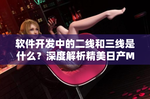 軟件開發(fā)中的二線和三線是什么？深度解析精美日產(chǎn)MV的啟示
