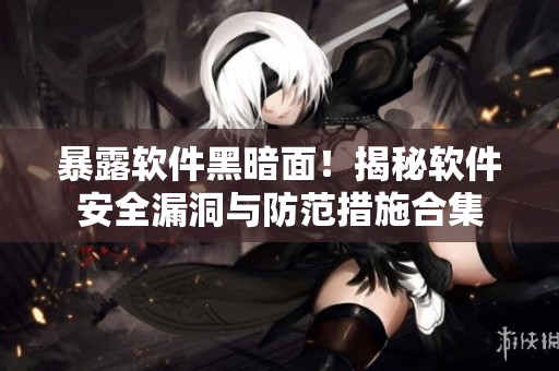 暴露軟件黑暗面！揭秘軟件安全漏洞與防范措施合集